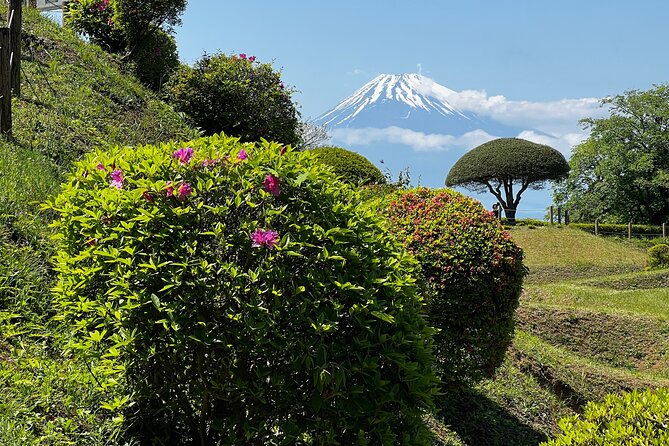 Hike Japan Heritage Hakone Hachiri With Certified Mountain Guide - Group Size and Tour Experience