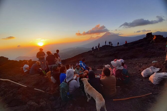 Hike to Pacaya Volcano From Antigua - Reviews and Recommendations