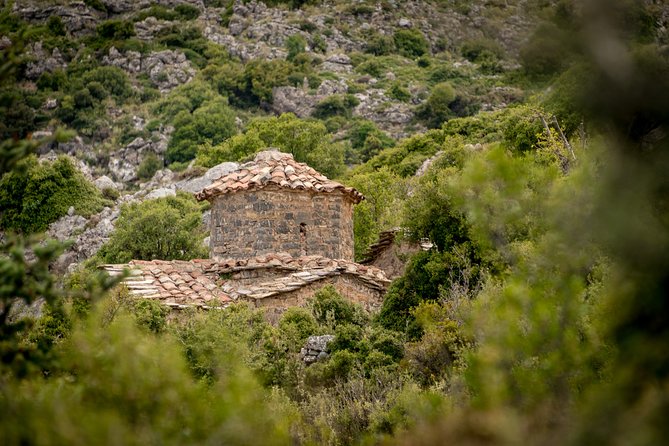 Hiking Above Kalamata - Wildlife Encounters