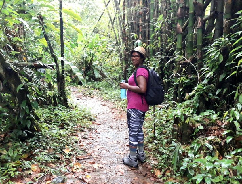 Hiking Adventure Through Grand E'tang RainForest - Reviews