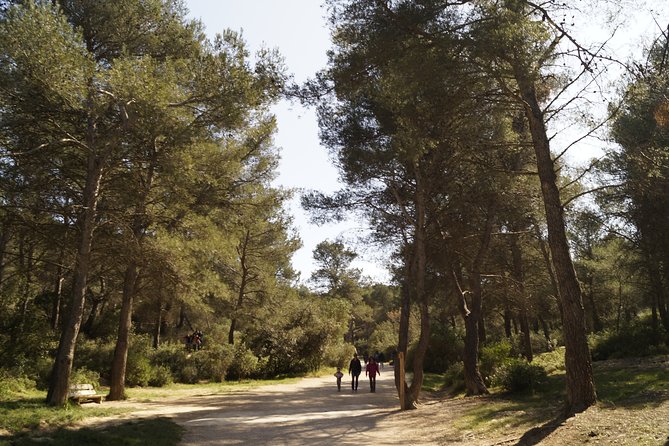 Hiking in the Calanques National Park From Luminy - Common questions