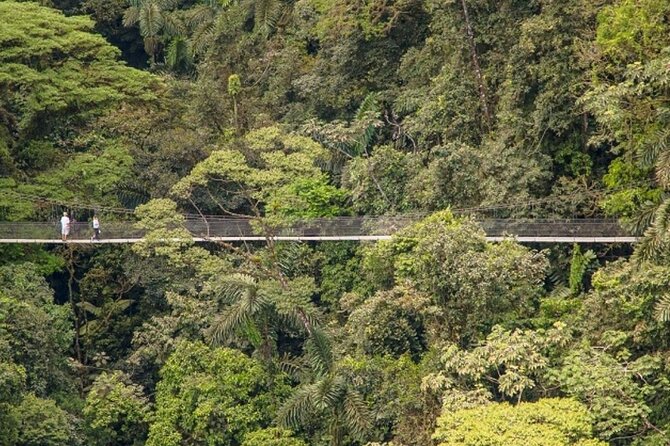 Hiking Lovers (Hanging Bridges La Fortuna Waterfall Volcano Hike) - Cancellation Policy