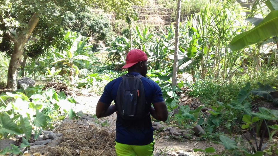 Hiking to the Waterfall Aguas Caidas &Boat Trip to the Cave. - Booking and Payment