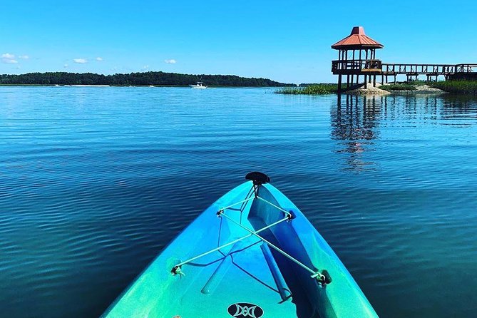 Hilton Head Guided Kayak Tour - Customer Feedback and Interactions