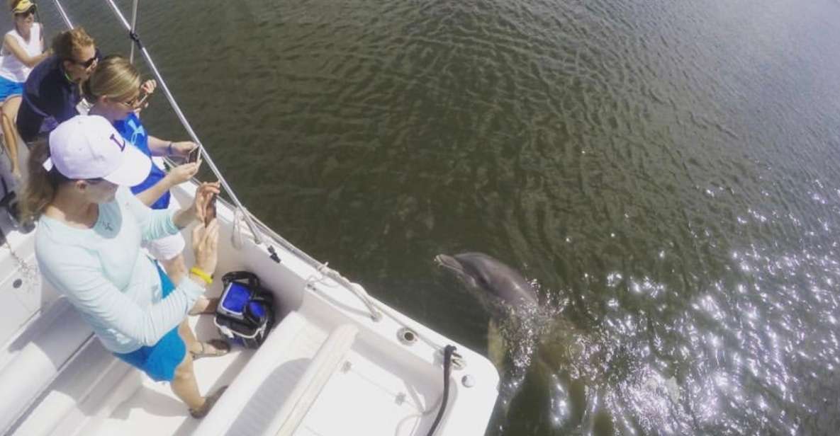 Hilton Head Island: Private Dolphin Watching Boat Tour - Last Words