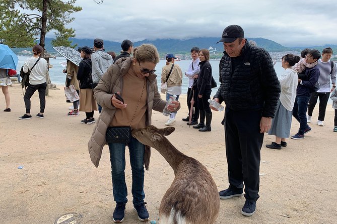 Hiroshima / Miyajima Full-Day Private Tour With Government Licensed Guide - Reviews and Testimonials