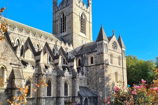 Historical Dublin Walking Tour - Reviews and Feedback