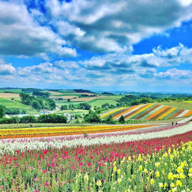 Hokkaido: Biei Blue Pond and Furano Flower Farm Day Trip - Directions for the Day Trip