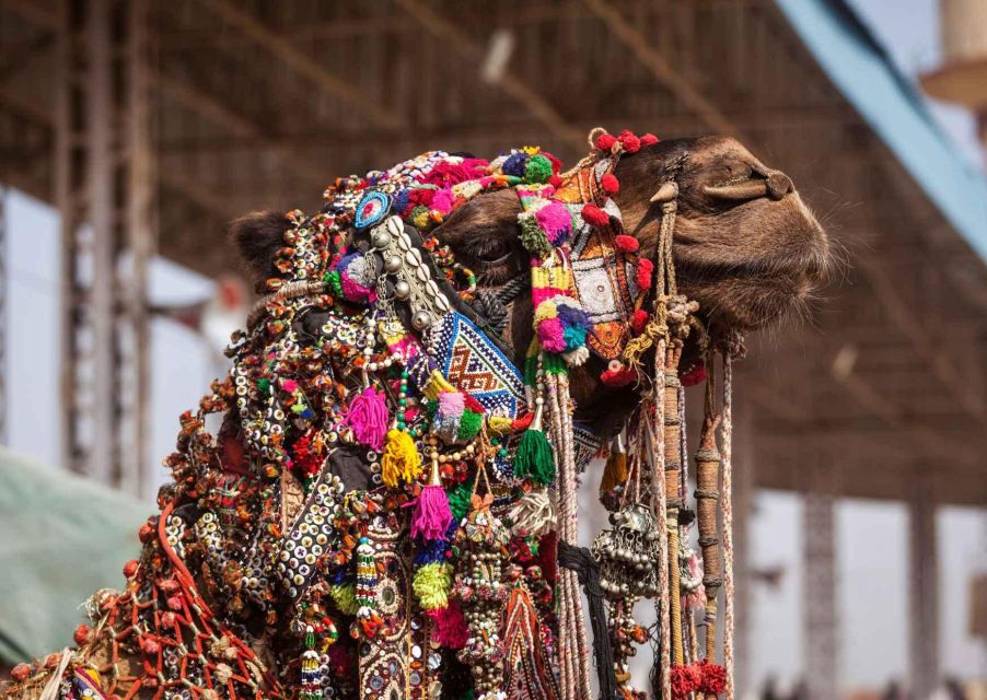 Holy Pushkar and Ajmer Trails (Guided Full Day Tour) - Cultural Immersion