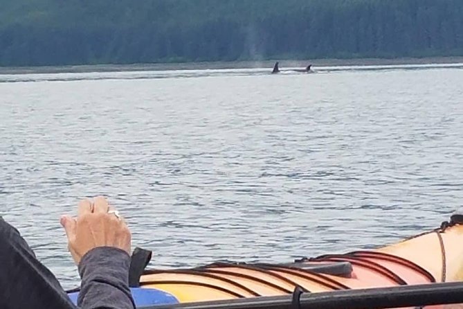 Hoonah Small-Group Kayak Tour (Mar ) - Common questions