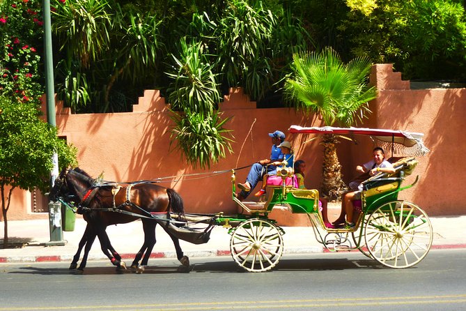 Horse and Carriage Ride With Majorelle Garden - Cancellation Policy