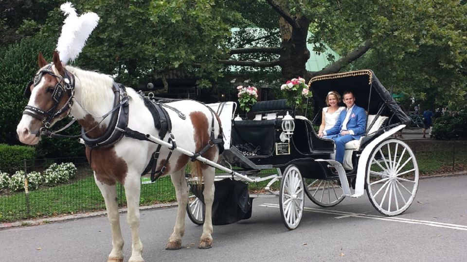 Horse and Carriage Rides Central Park - Additional Information