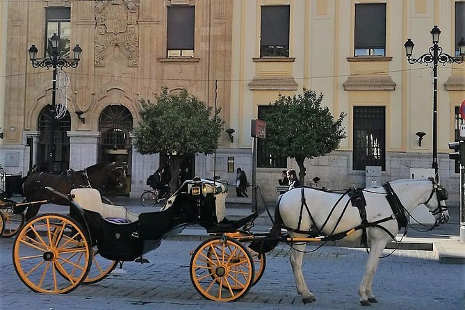 Horse-Drawn Carriage Private Ride Through Seville - Booking Tips