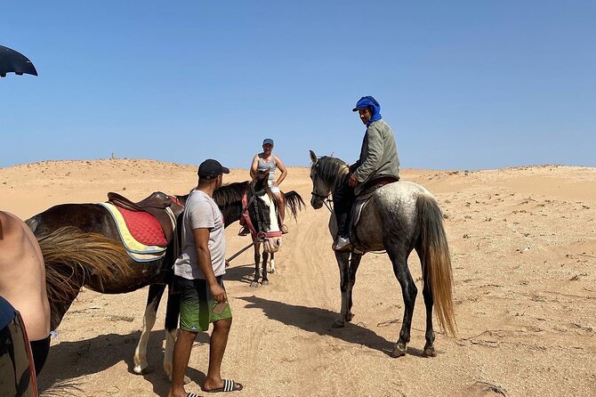 Horse Riding Agadir - Customer Reviews