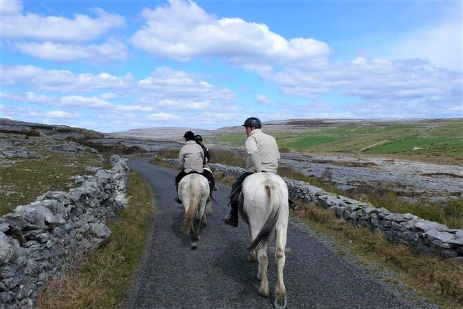 Horse Riding - Dirt Trek Trail. Lisdoonvarna, Clare. Guided. 1 Hour. - Common questions