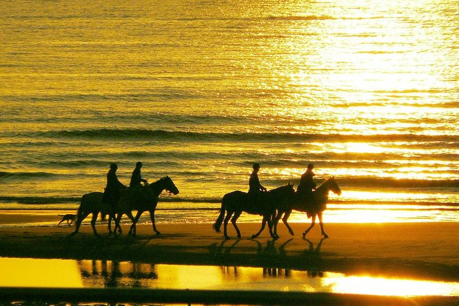 Horse Riding on the Beach, Rhodes - Pricing and Guarantee