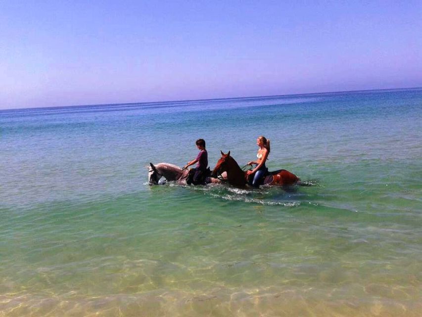 Horse Riding on the Beach With Private Transfer From Lisbon - Customer Reviews