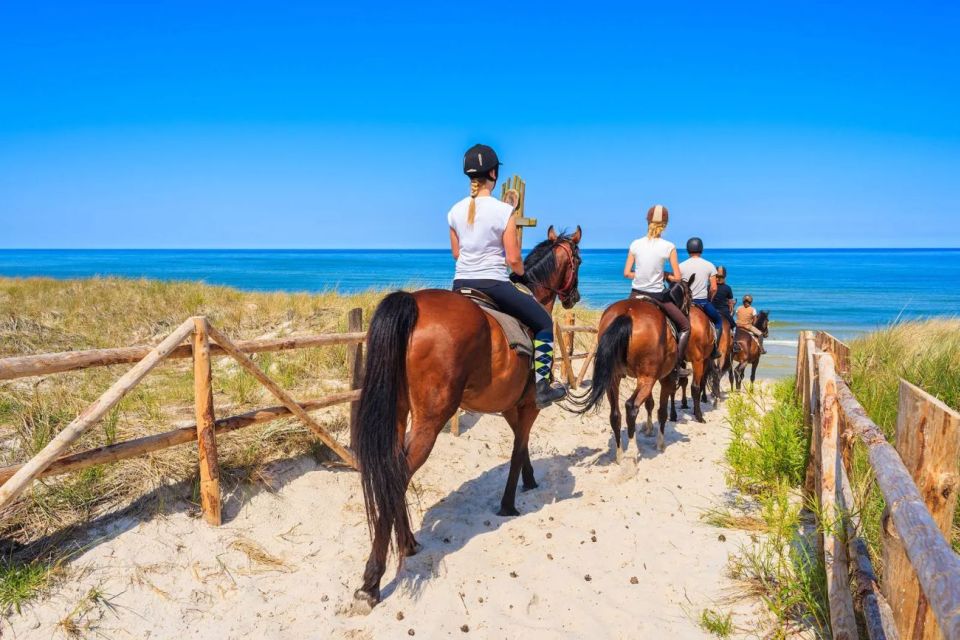 Horse Riding Tour in Alanya - Customer Reviews and Ratings