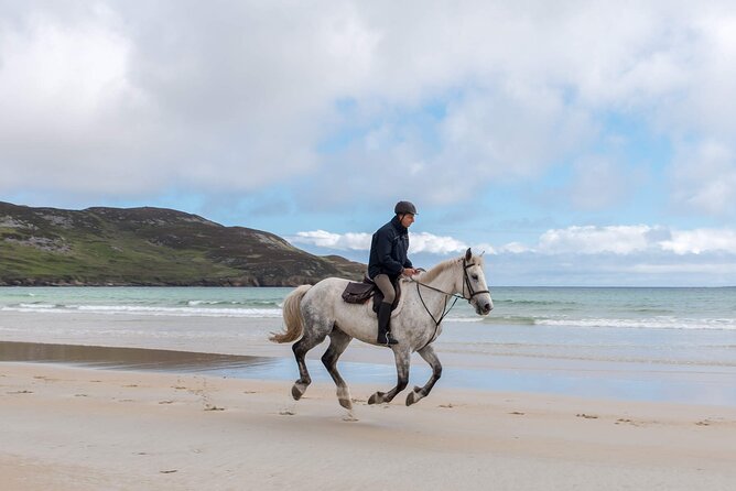 Horseback Riding Beach Excursion in County Mayo (Mar ) - Flexible Cancellation Policy
