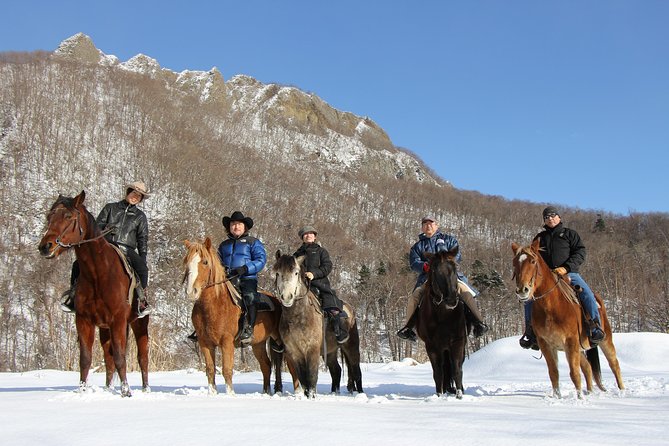 Horseback-Riding in a Country Side in Sapporo - Private Transfer Is Included - Reviews and Traveler Feedback