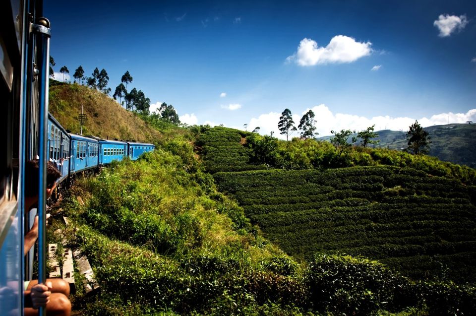 Horton Plains National Park Tour & Scenic Train Ride - Baker Falls Exploration