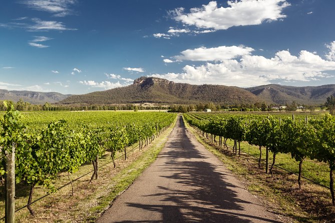 Hunter Valley Highlights Private Wine Tour From Sydney - Private Transportation Details