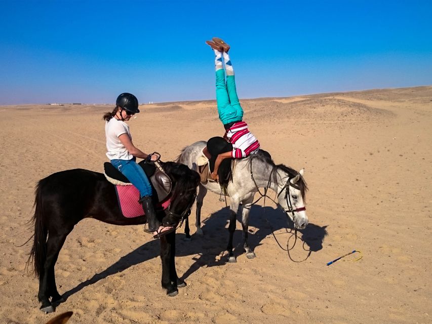 Hurghada: Arabian Desert and Sea Horseback Adventure - Last Words