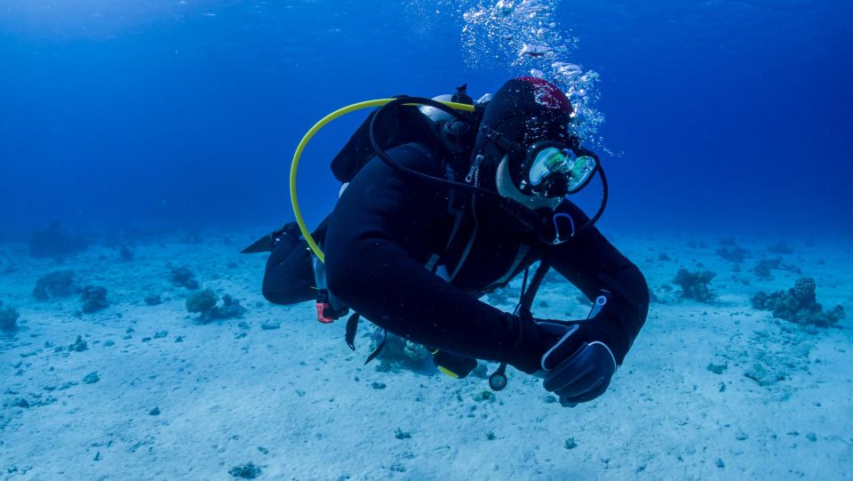 Hurghada: Diving and Snorkeling Tour With Transfers - Inclusions and Requirements