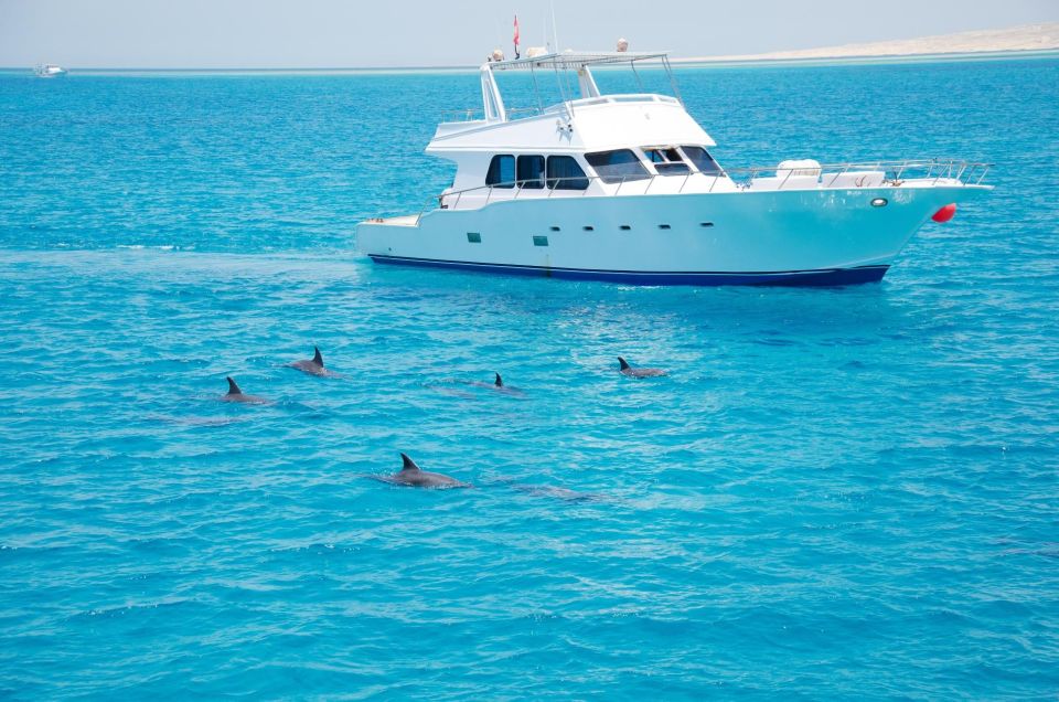 Hurghada: Dolphin Watching Private Yacht & Island Tour - Review Summary - Customer Experiences