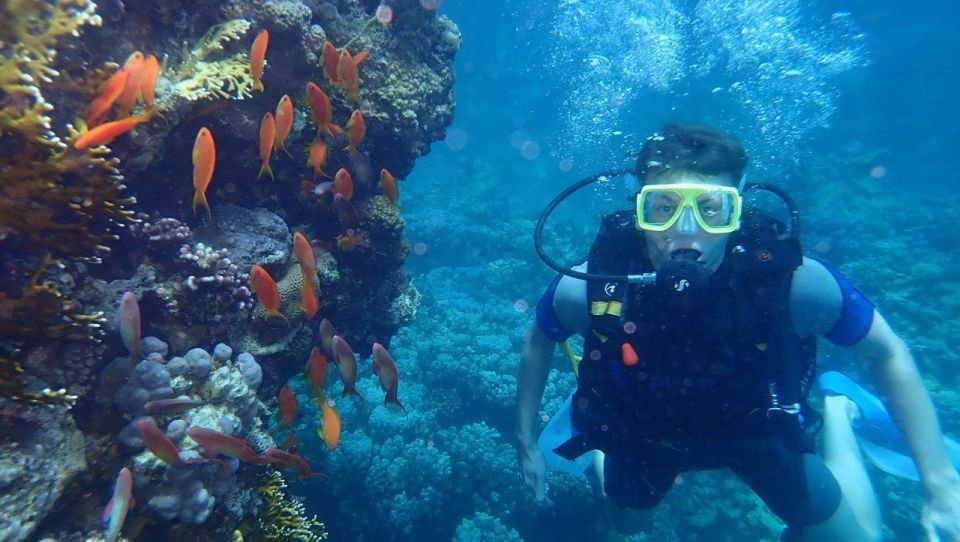 Hurghada: Full-Day Scuba Diving Discovery - Additional Information