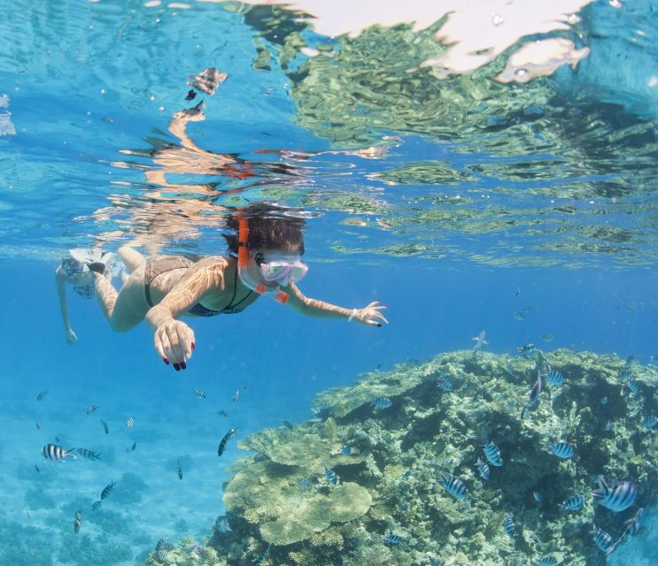 Hurghada: Giftun Island Fun Cruise Tour With Snorkeling - Booking Information
