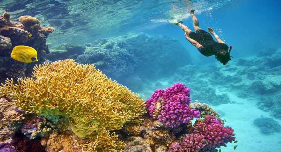 Hurghada: Giftun Island Tour With Snorkeling & Buffet Lunch - Buffet Lunch and Reef Exploration