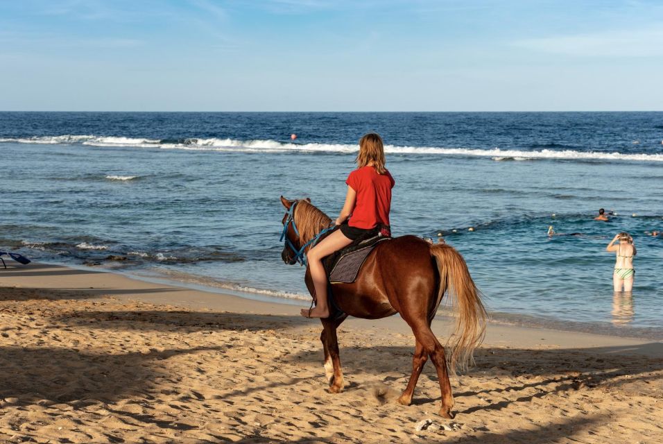 Hurghada: Horse Ride Along the Sea & Desert With Transfers - Activity Highlights