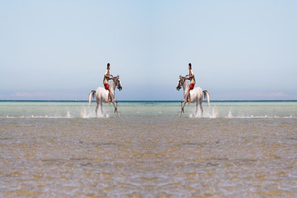 Hurghada: Horse Ride Along the Sea & Desert With Transfers - Travel Experience and Flexibility Highlights