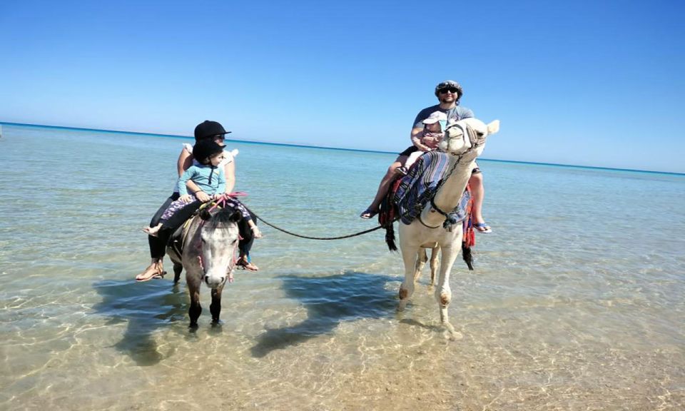 Hurghada: Horseback Riding, Parasailing, and Lunch - Review Summary