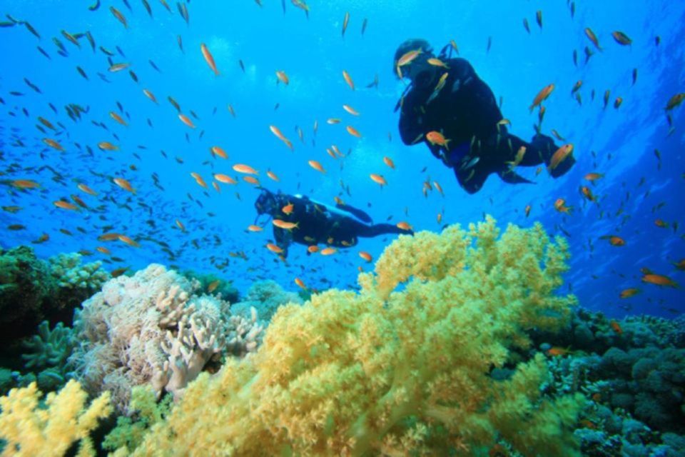 Hurghada: Intro Diving & Snorkeling Tour With Lunch & Drinks - Customer Reviews and Feedback