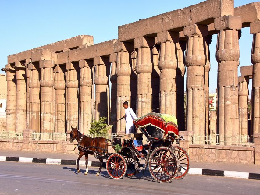 Hurghada: Luxor Day Trip With Hatshepsut & Tutankhamun Tombs - Customer Reviews
