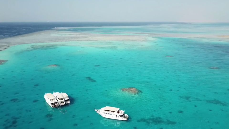 Hurghada: Magawish or Paradise Island Snorkeling Tour - Language Options