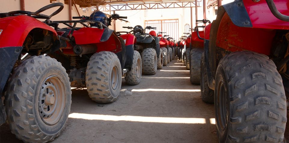 Hurghada: Morning Quad Bike Tour, Camel Ride and Transfer - Logistics and Practicalities