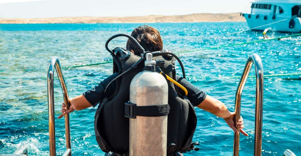 Hurghada: Orange Island Snorkeling, Diving, and Water Sports - Customer Feedback