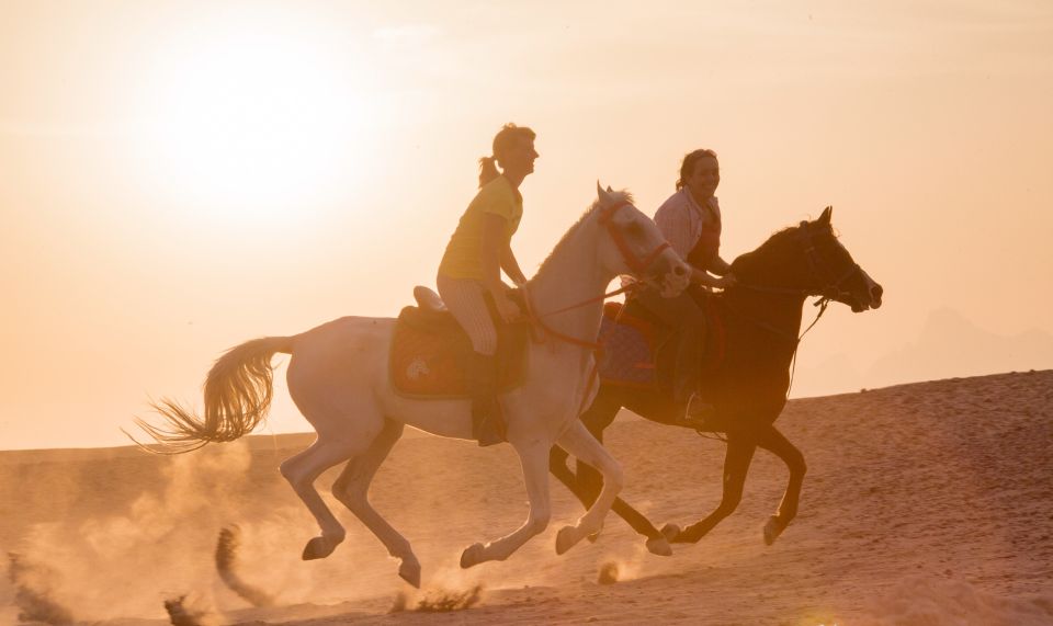 Hurghada: Quad Safari, Camel, Horse Ride With Dinner & Shows - Recommendations