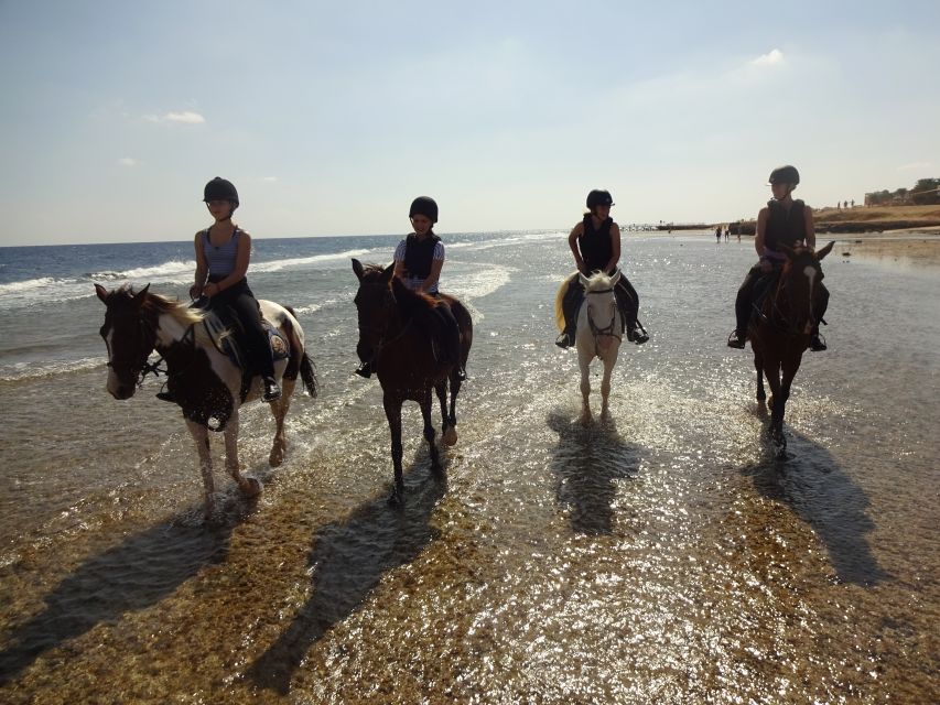 Hurghada: Sea & Desert Horse Tour, Stargazing, Dinner & Show - Optional Activities