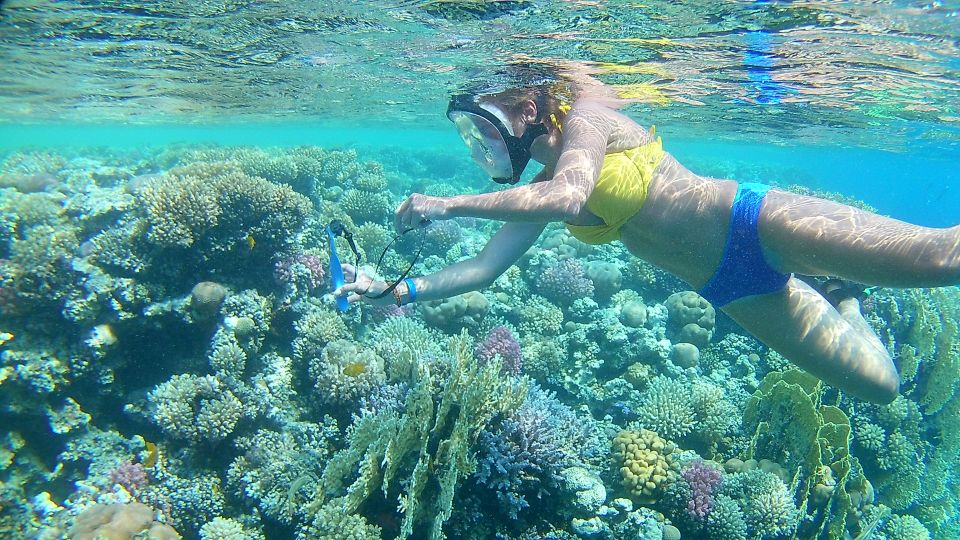 Hurghada: Snorkelling Trip by Speedboat With Hotel Pickup - Additional Information