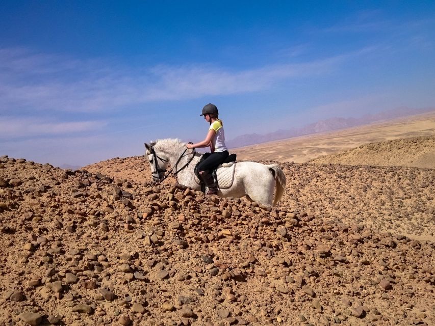 Hurghada: Sunrise Sea & Desert Horse Ride W Opt Breakfast - Value for Money