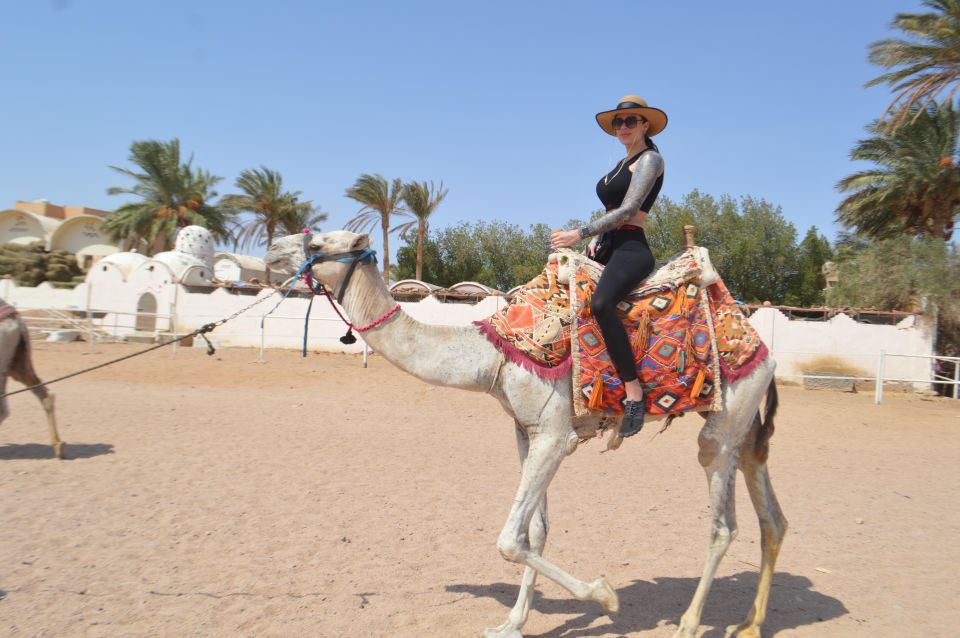 Hurghada: Sunset Quad Bike, Camel W/ Opt Stargazing and BBQ - Additional Information