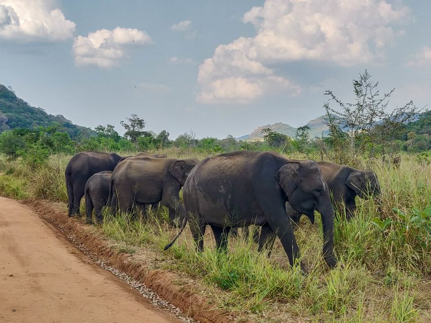 Hurulu Eco Park: 3-Hour Morning or Evening Safari - Location Highlights and Reservoir Views