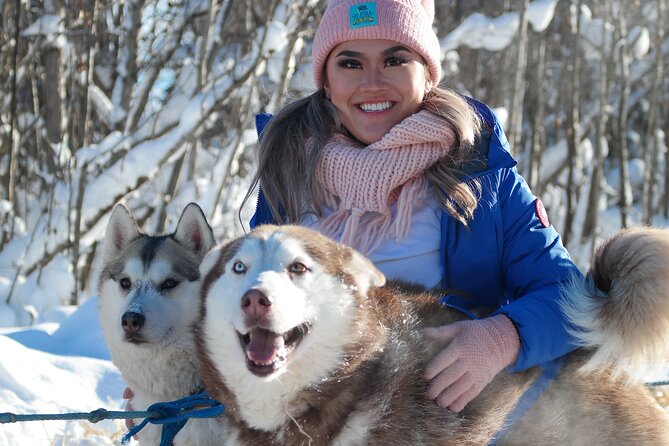 Husky Dog Sledding & Mushing With Pick up and Photo Service in Fairbanks, Alaska - Common questions