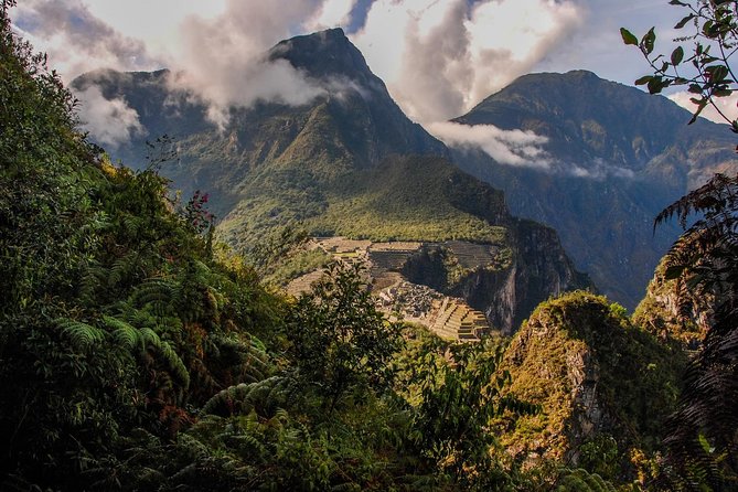 Inca Jungle Premium to Machu Picchu 4D/3N - Common questions