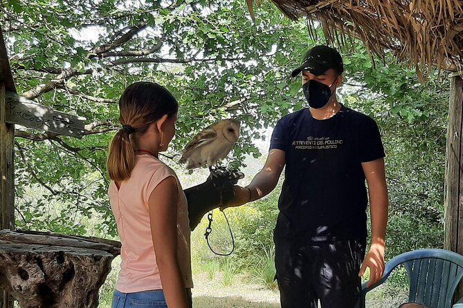 Interactive Path of Birds of Prey - Visitor Amenities and Accessibility Details