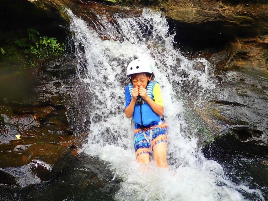 Iriomote Island: Guided 2-Hour Canyoning Tour - Safety Precautions